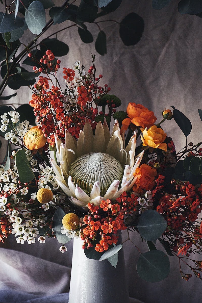 King Protea arragement with a white cloth backdrop